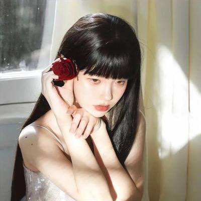 超完美狗保姆
